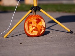 IMG_7264_web